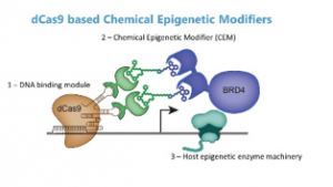 Diagram of Chemical Epigenetic Modifiers