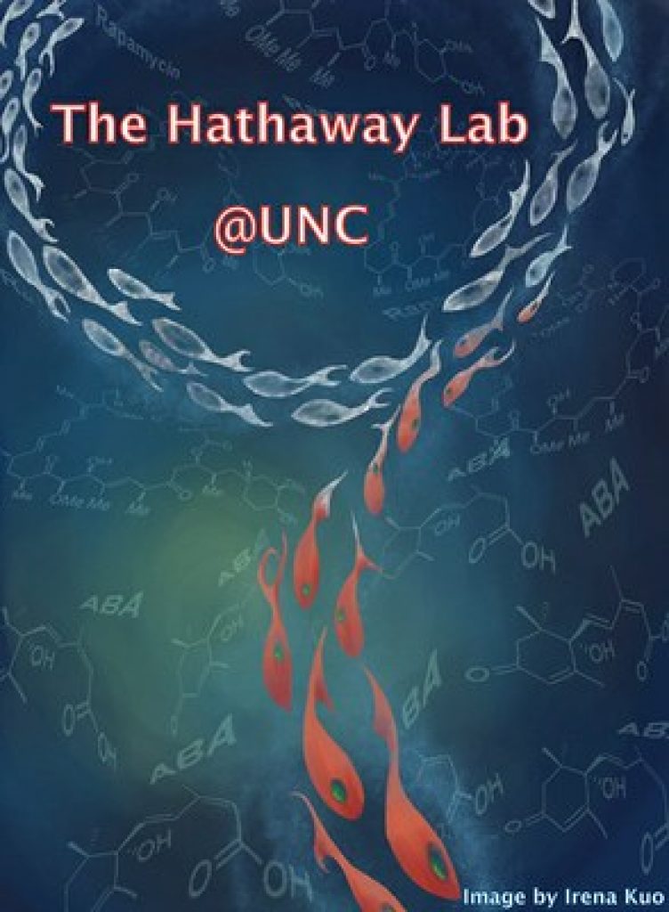 Hathaway-Lab
